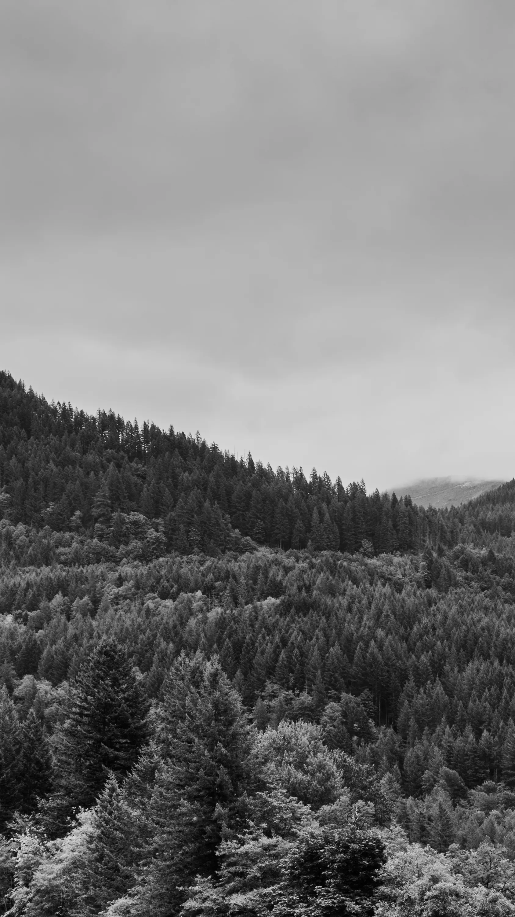 Photography 2