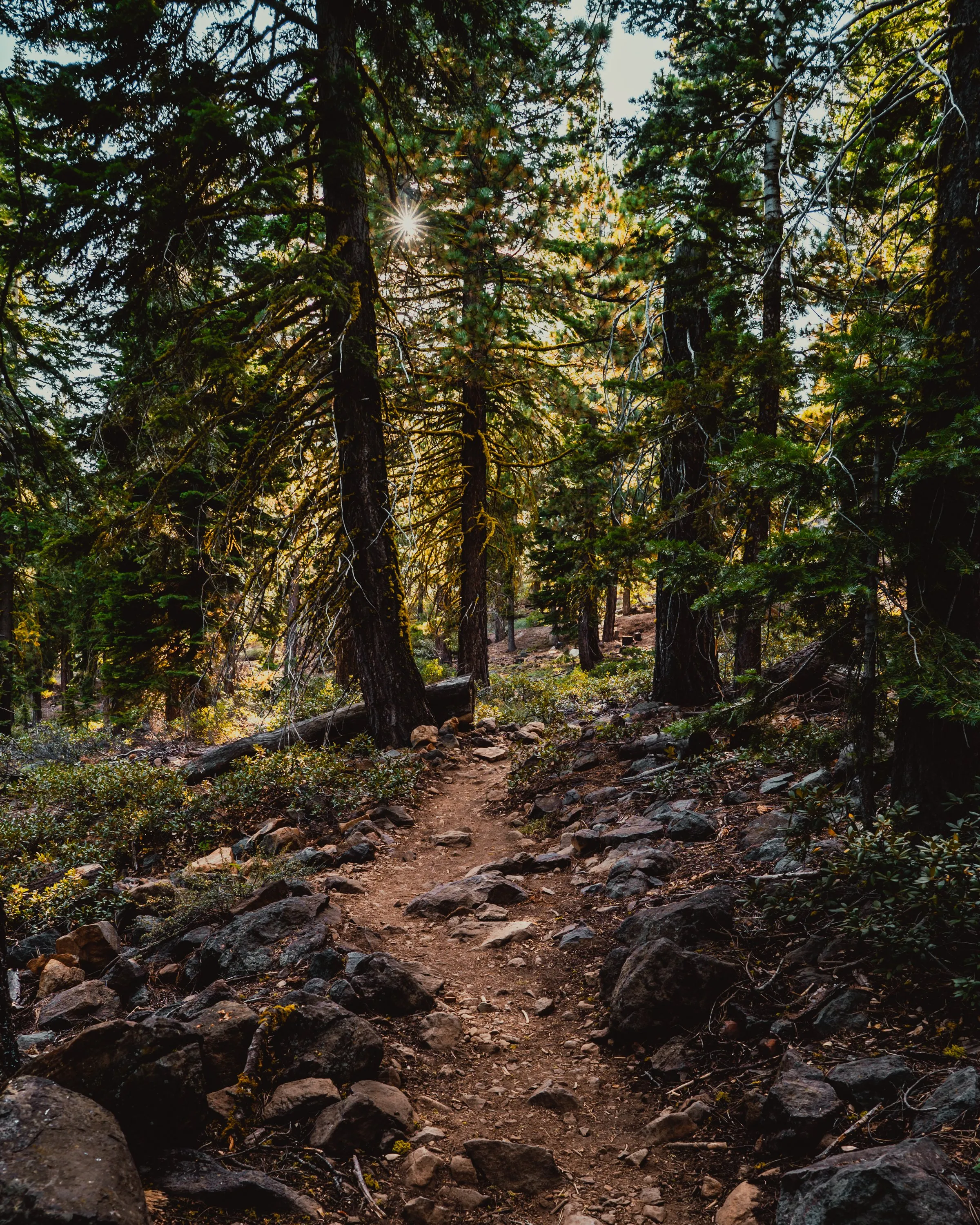 Photography 15